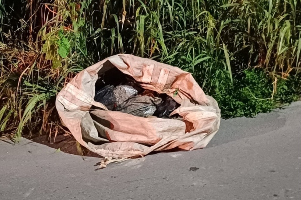 Desovado: corpo é encontrado esquartejado e decapitado dentro de saco no Distrito Industrial