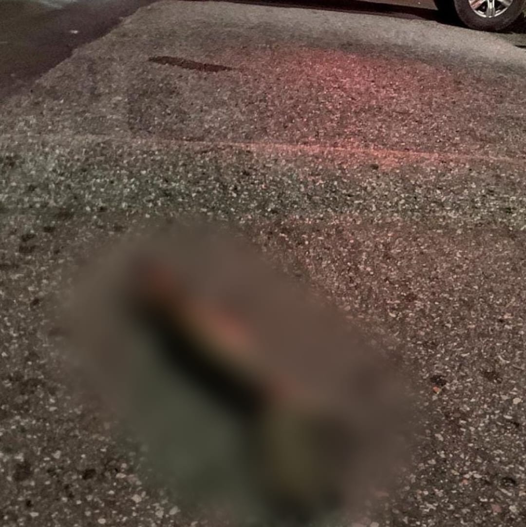 Cachorro arrasta braço humano e corpo é encontrado dentro de saco em área de mata no Japiim