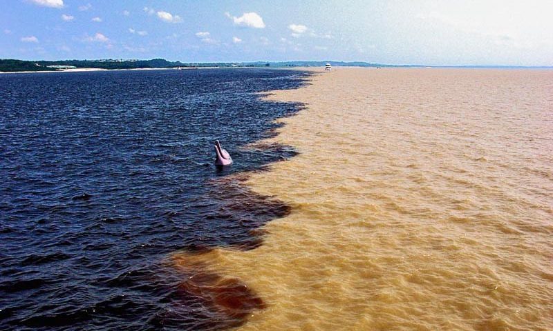 Nível do Rio Negro desce mais de 20 cm por dia em Manaus
