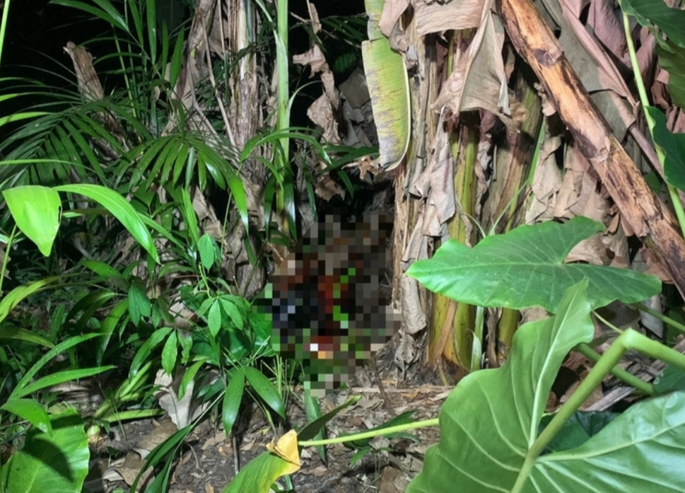 Corpo é encontrado em avançado estado de decomposição em área de mata no Santo Agostinho