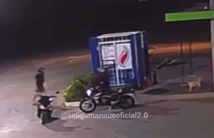 VÍDEO: Fotógrafo é suspeito de espancar cadela de resguardo em Manaus