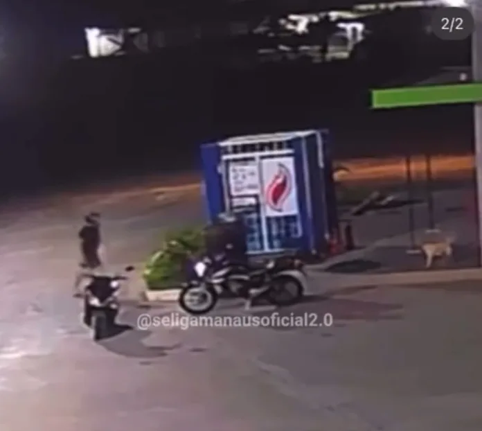 VÍDEO: Fotógrafo é suspeito de espancar cadela de resguardo em Manaus