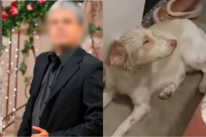 Fotógrafo suspeito de espancar cadela tem prisão preventiva decretada em Manaus