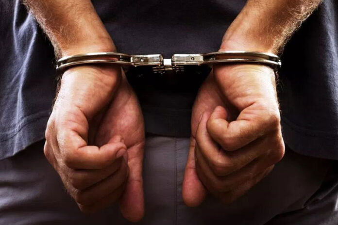 Crimes ambientais resultam na prisão de18 pessoas no Amazonas