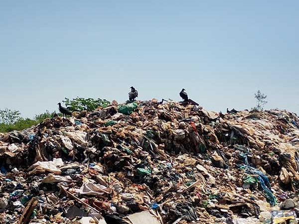 Comunidades conquistam inspeção no lixão em Iranduba pela DPE-AM