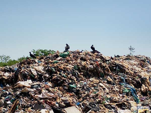 Comunidades conquistam inspeção no lixão em Iranduba pela DPE-AM