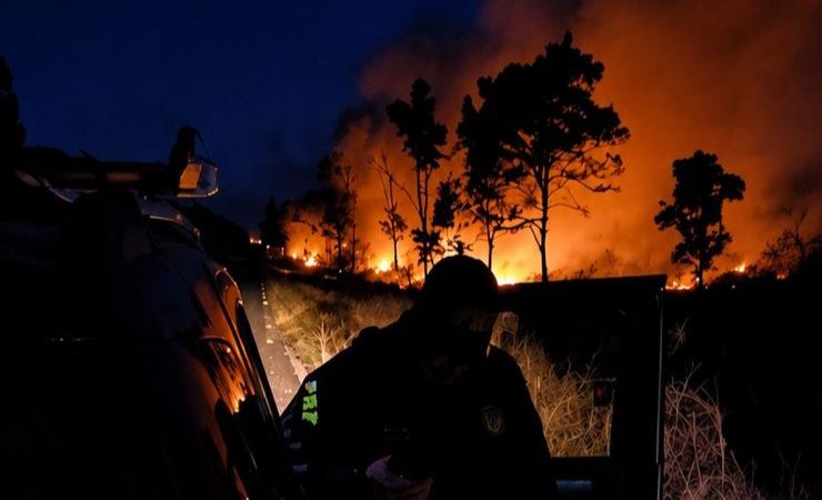 PRF prende homem por queimada ilegal às margens da BR-153 no Tocantins