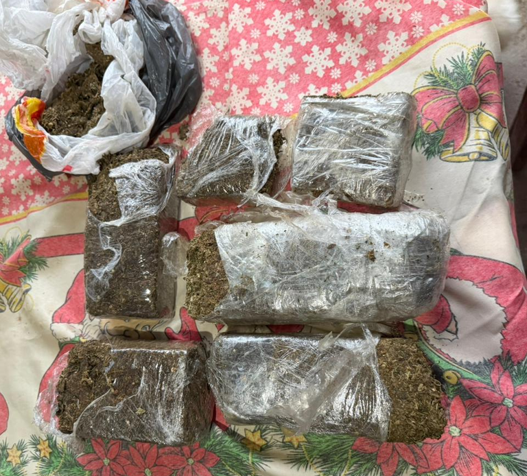 Polícia Federal combate tráfico transnacional de drogas