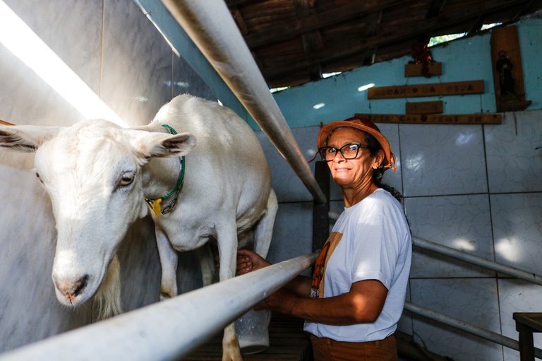 PAA Leite valoriza e garante renda aos agricultores familiares no Semiárido