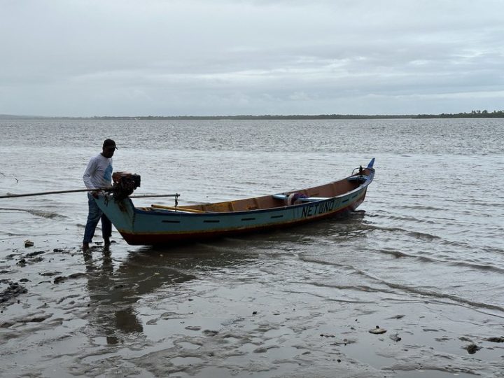 Ministério da Pesca e Aquicultura alerta para tentativas de golpes envolvendo carteirinha de pescador