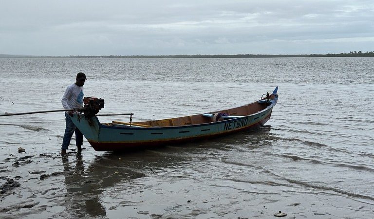 Ministério da Pesca e Aquicultura alerta para tentativas de golpes envolvendo carteirinha de pescador