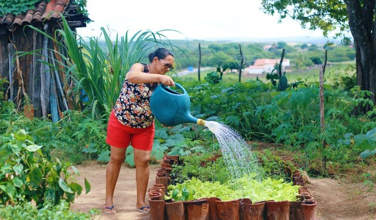 Programa de Aquisição de Alimentos completa 23 anos garantindo segurança alimentar e renda