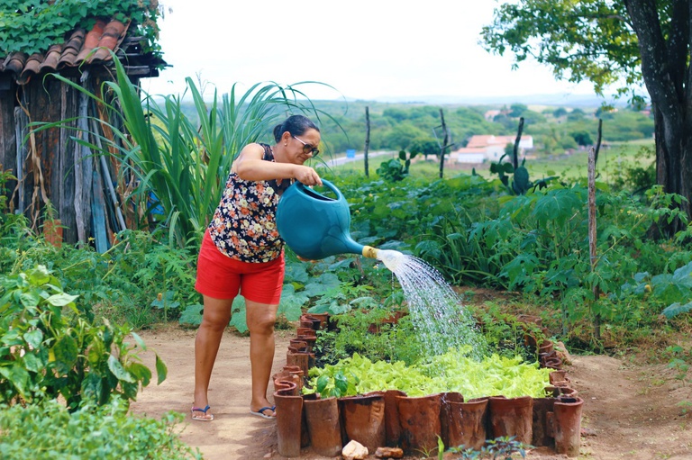 Programa de Aquisição de Alimentos completa 23 anos garantindo segurança alimentar e renda