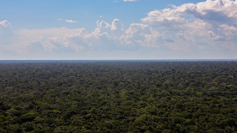 Em menos de um ano, programa PGU Verde já ajuizou R$ 1,3 bilhão em ações ambientais