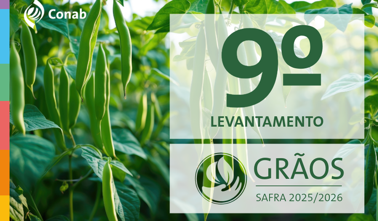 Conab: produção de grãos deve ser recorde com alta de 1,8% em relação à safra anterior