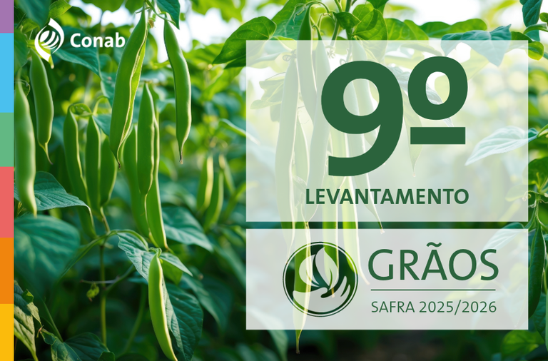 Conab: produção de grãos deve ser recorde com alta de 1,8% em relação à safra anterior