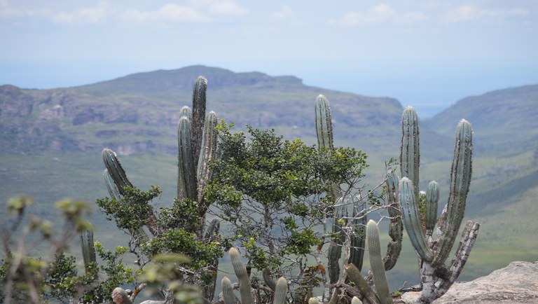 Lula anuncia ações para fortalecer proteção ambiental e enfrentar mudança do clima