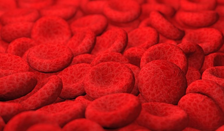 Anvisa aprova novo tratamento para mielofibrose