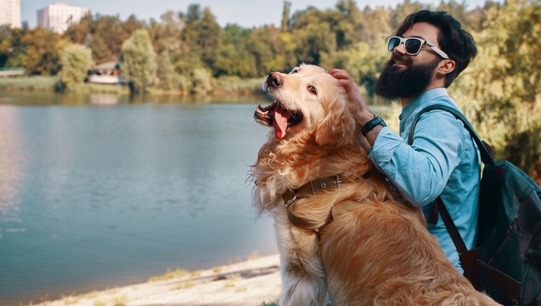 Turismo lança pesquisa para mapear mercado pet friendly e orientar setor e turistas