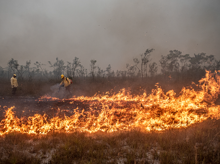 Sala de Situação sobre Incêndios Florestais tem segunda reunião e trata de ações preventivas