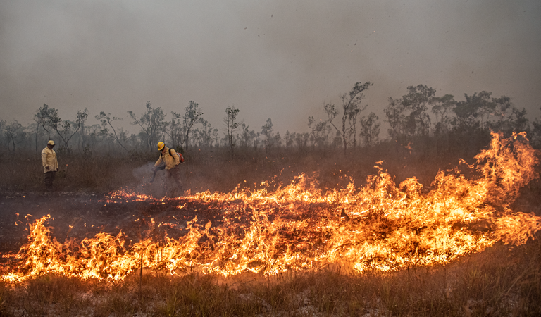 Sala de Situação sobre Incêndios Florestais tem segunda reunião e trata de ações preventivas
