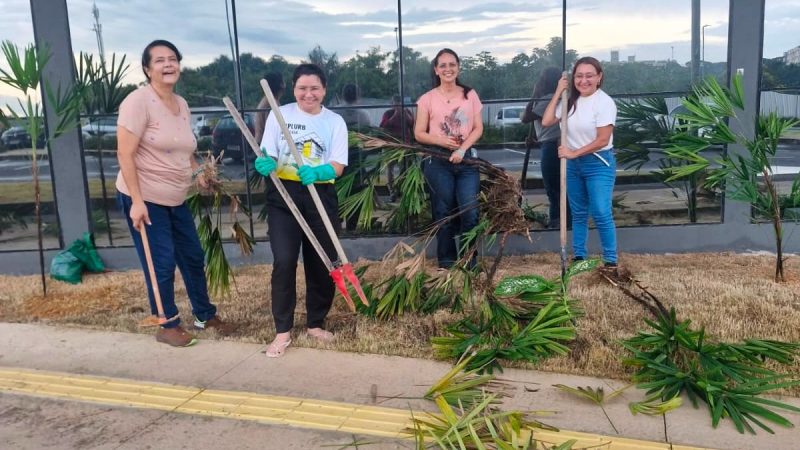 Servidores do Implurb promovem ação de jardinagem colaborativa na nova sede e fortalecem sentimento de pertencimento
