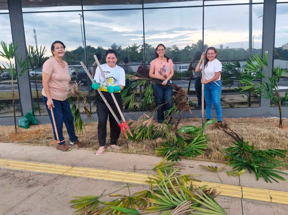 Servidores do Implurb promovem ação de jardinagem colaborativa na nova sede e fortalecem sentimento de pertencimento