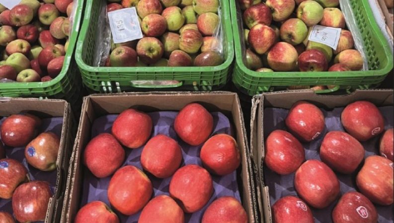 54 Ceasa’s comercializaram 16,6 milhões de toneladas de frutas e hortaliças em 2025