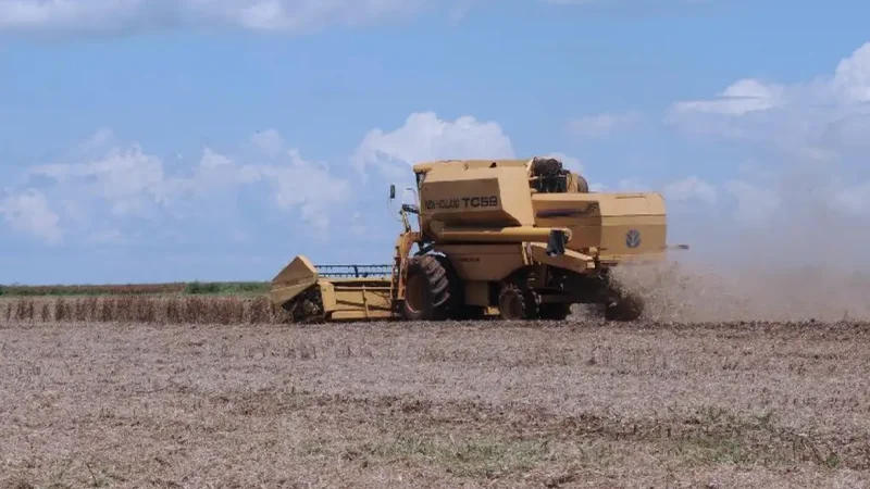 Governo democratiza acesso ao Move Agricultura com crédito para pessoas físicas