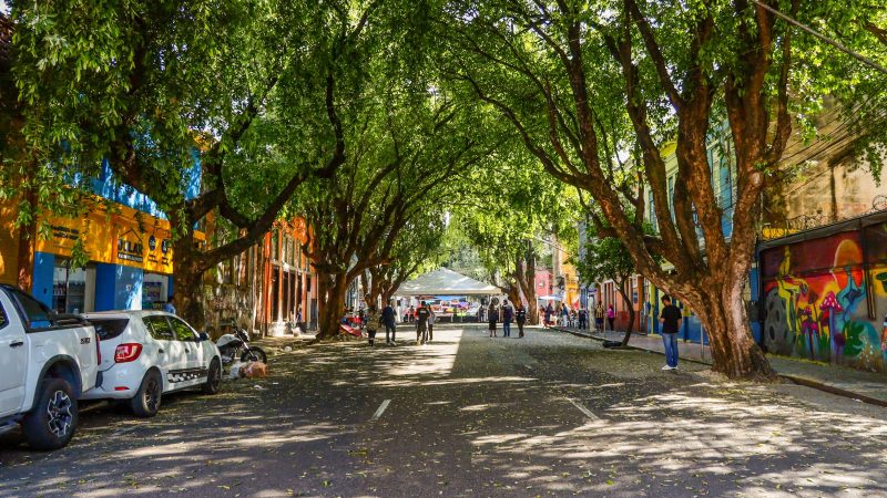 Projeto da ‘Rua Gastronômica’ preservará árvores da Ferreira Pena e valorizará corredor verde no centro de Manaus
