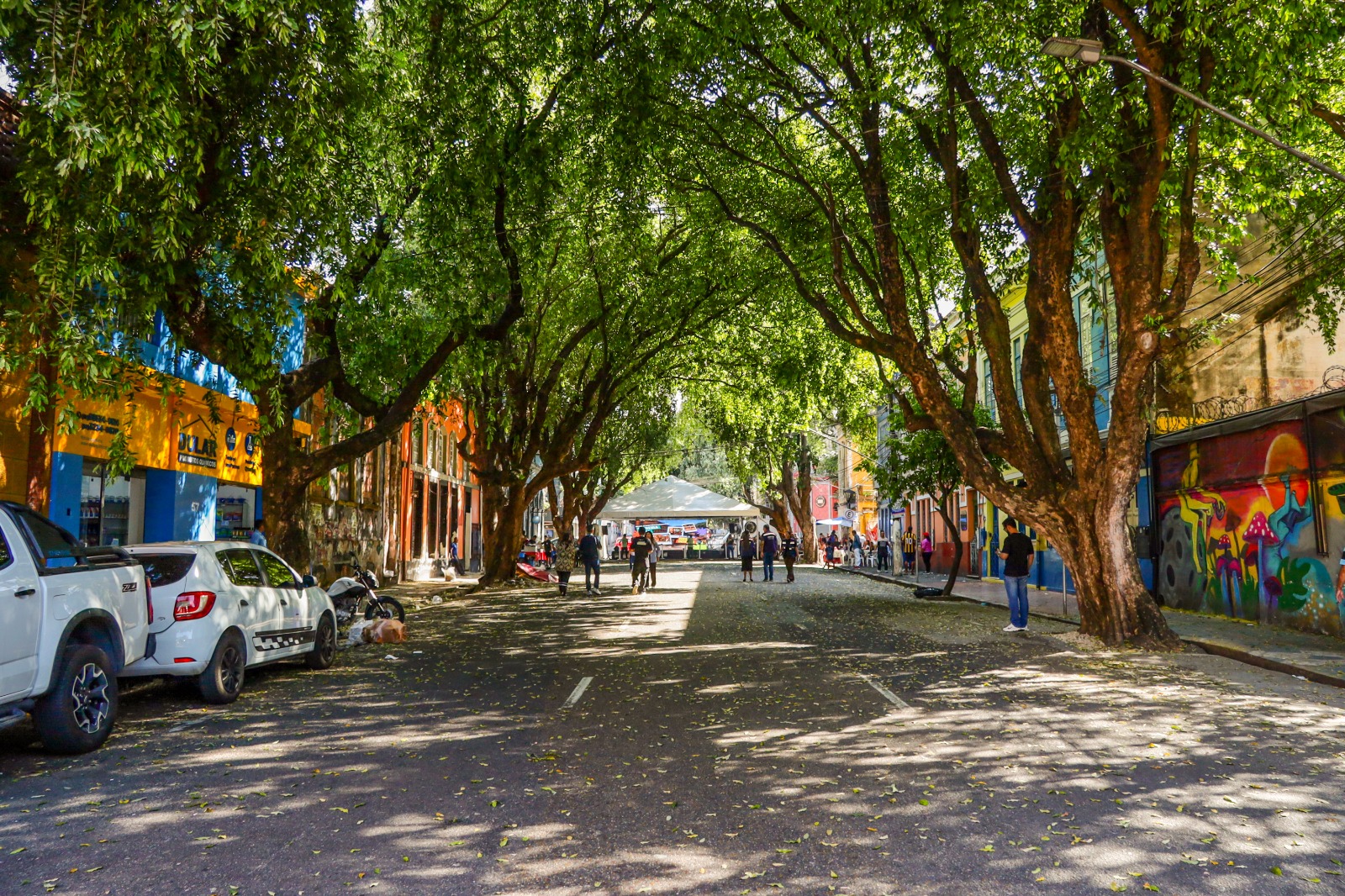 Projeto da ‘Rua Gastronômica’ preservará árvores da Ferreira Pena e valorizará corredor verde no centro de Manaus