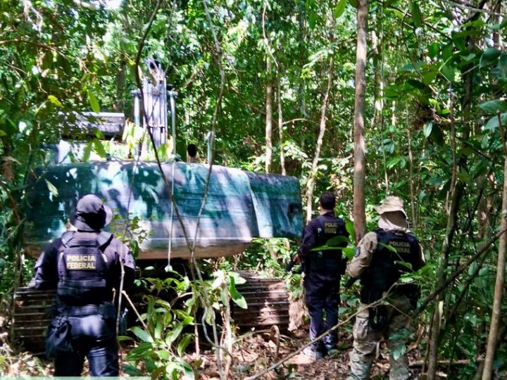 PF realiza operação de desintrusão e combate a garimpo em terra indígena no Pará